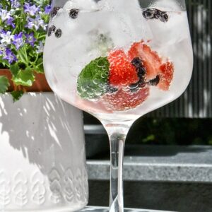 GIN TONIC